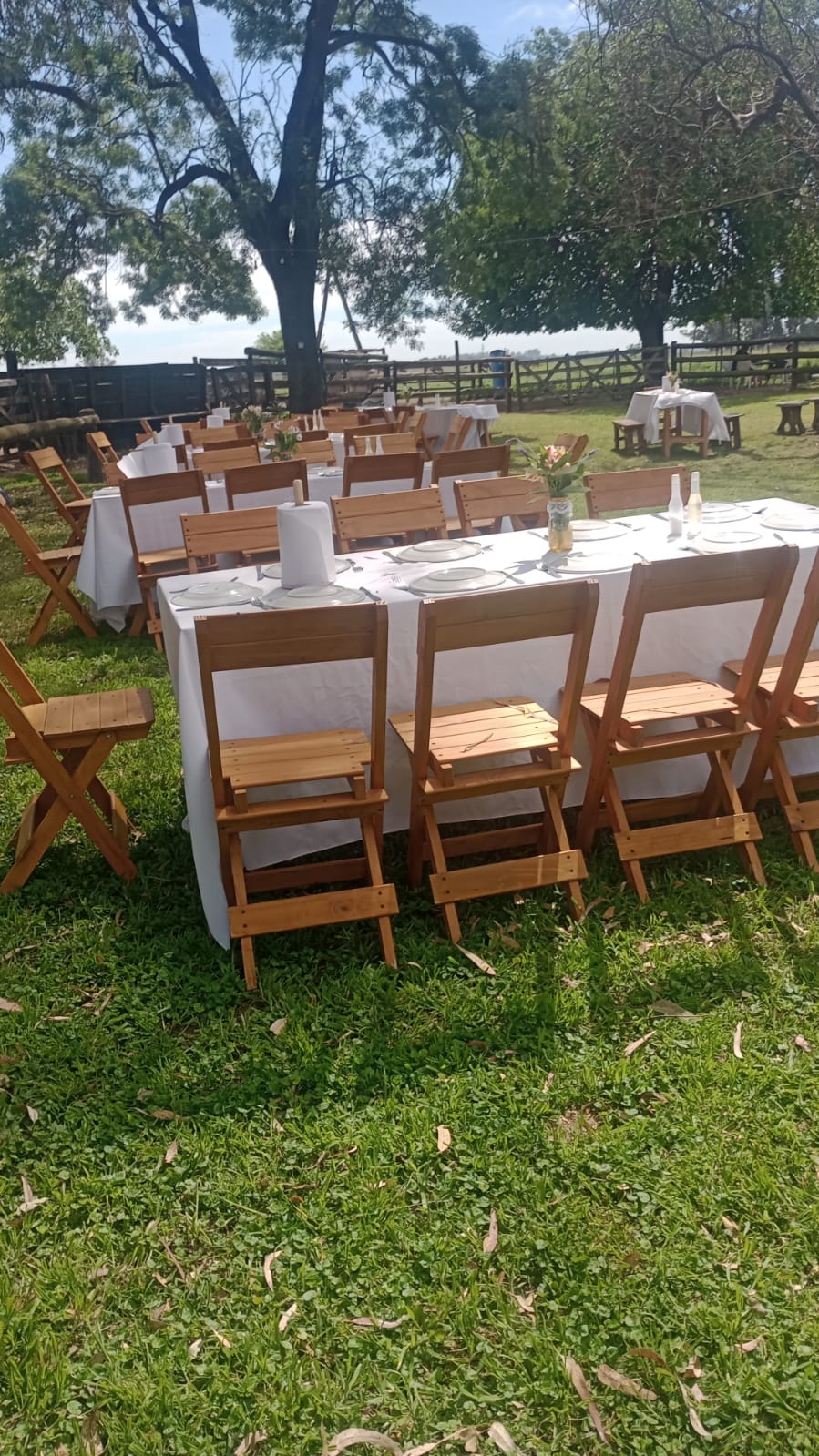 WhatsApp Image 2025-10-11 at 18.59.011.jpeg